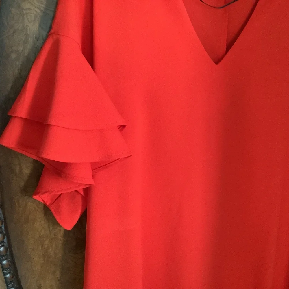 Clothes - Picture 2 of 4